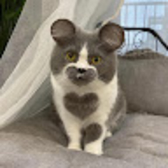 hannahle2806